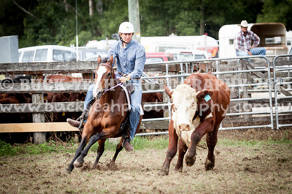 Stroud Show 101