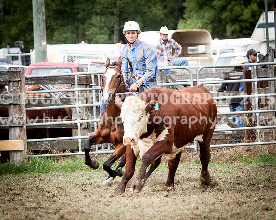 Stroud Show 102