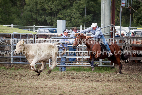 Stroud Show 103