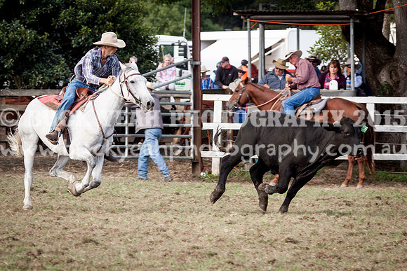 Stroud Show 106