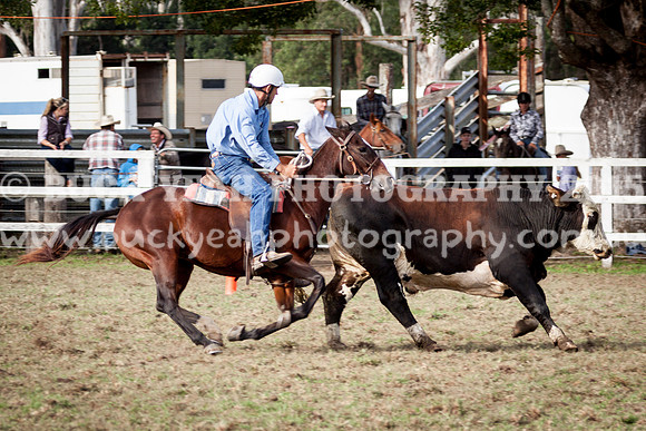 Stroud Show 107