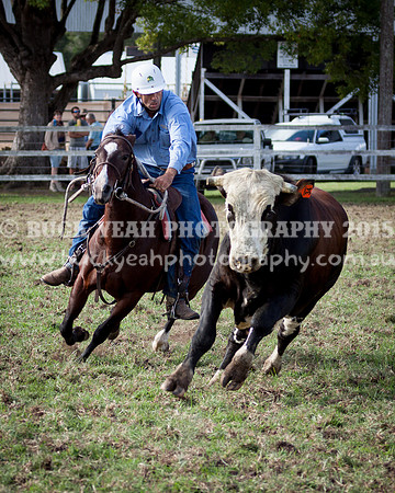 Stroud Show 110