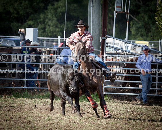 Stroud Show 112