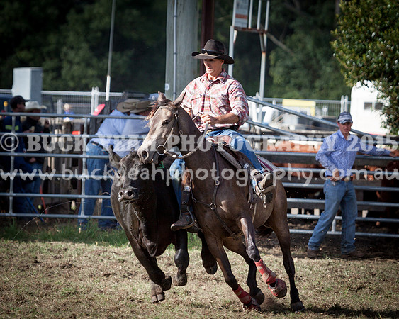 Stroud Show 113