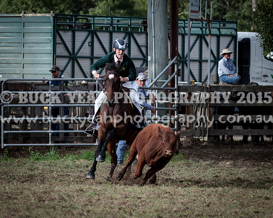 Stroud Show 115