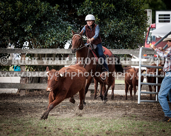 Stroud Show 116