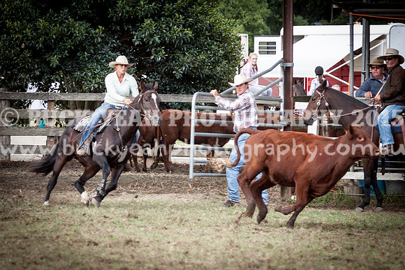 Stroud Show 118