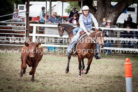 Stroud Show 119