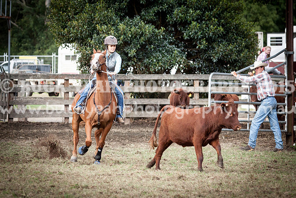 Stroud Show 120