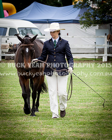 Stroud Show 127