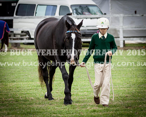 Stroud Show 128