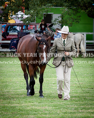 Stroud Show 129