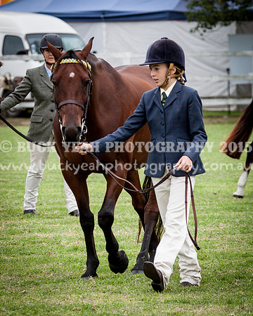 Stroud Show 130