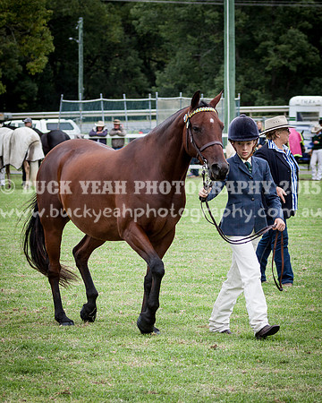 Stroud Show 132