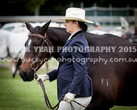 Stroud Show 133