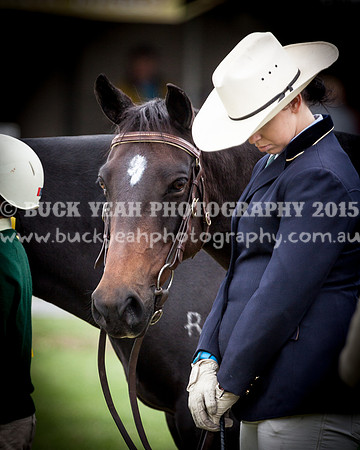 Stroud Show 135