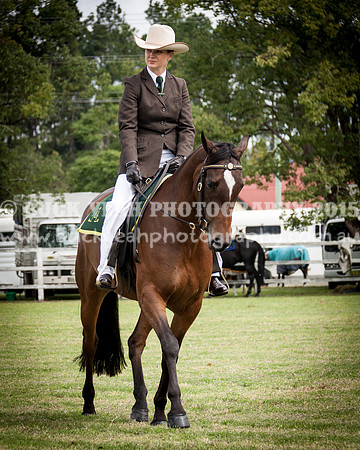Stroud Show 138