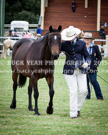 Stroud Show 143