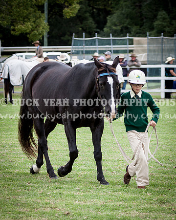 Stroud Show 144