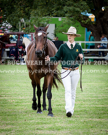 Stroud Show 145