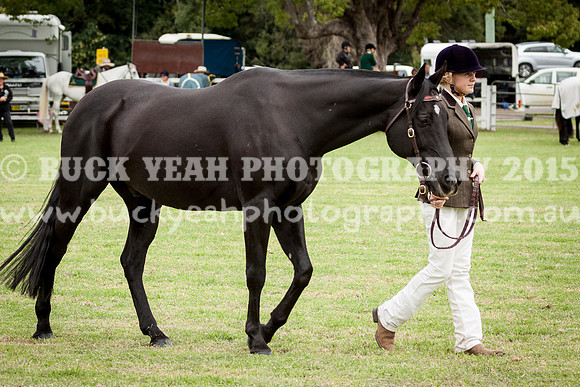 Stroud Show 147