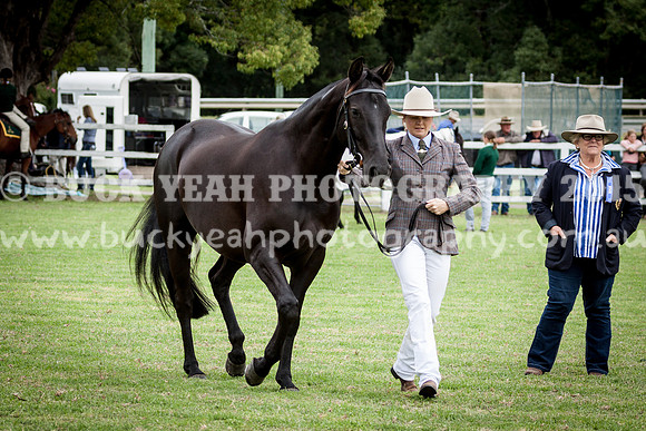 Stroud Show 149