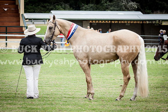 Stroud Show 153