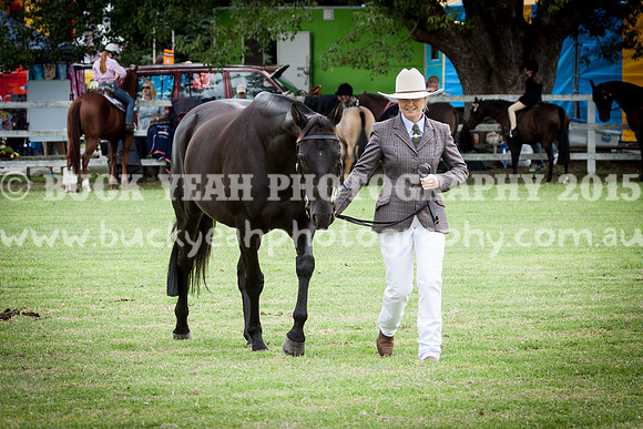 Stroud Show 154