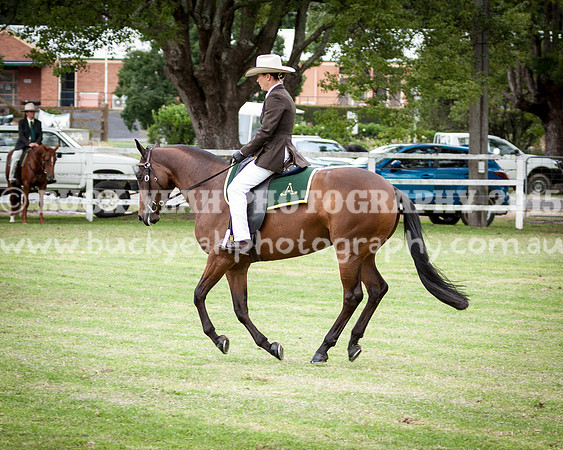 Stroud Show 160