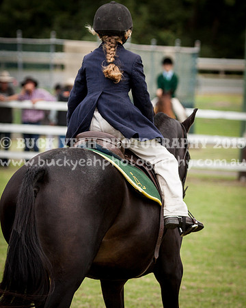 Stroud Show 163