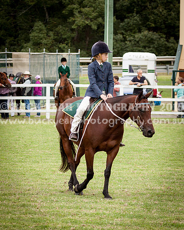 Stroud Show 162