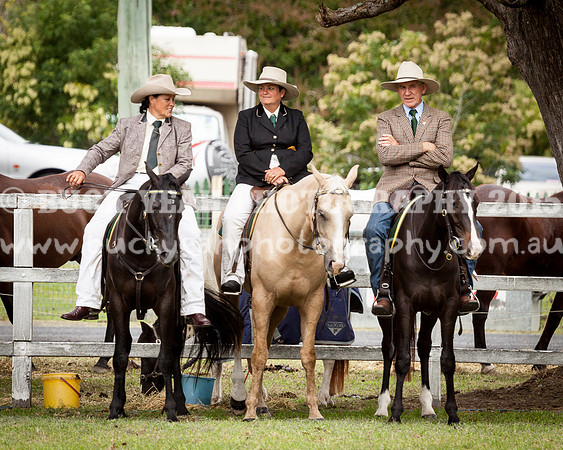 Stroud Show 164