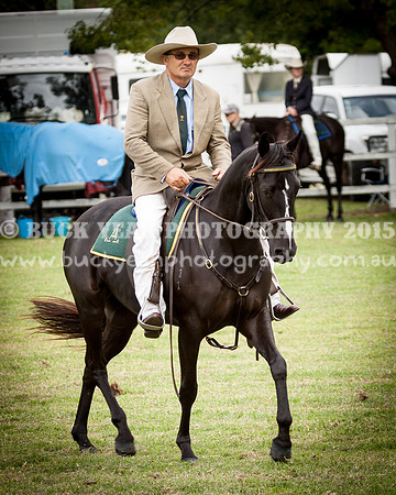 Stroud Show 166