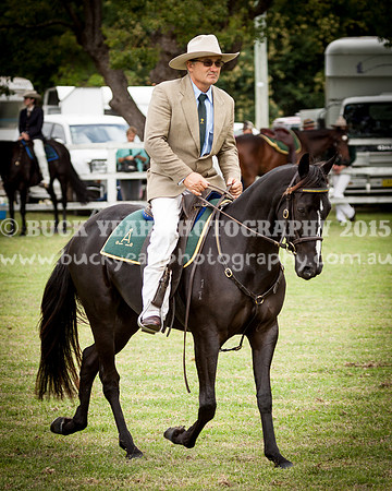 Stroud Show 167