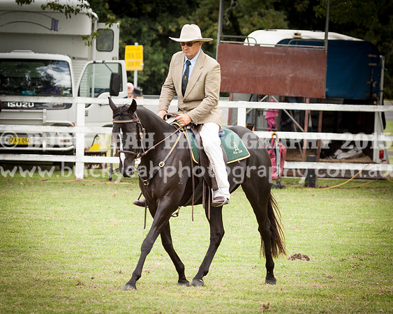Stroud Show 168