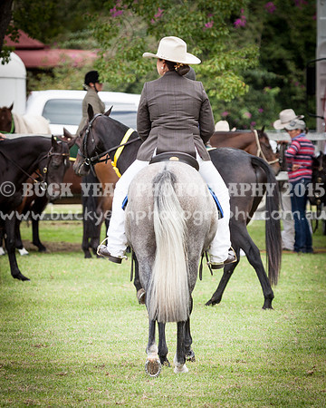 Stroud Show 170