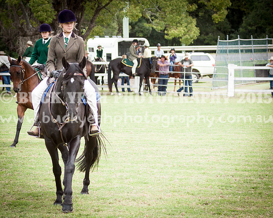 Stroud Show 171