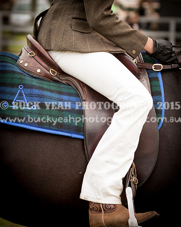 Stroud Show 172