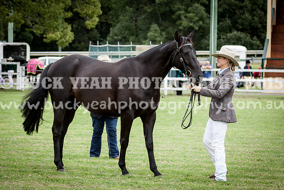 Stroud Show 150