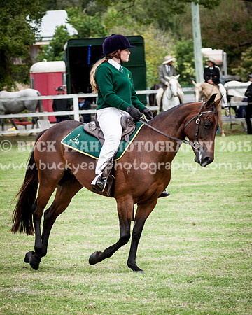 Stroud Show 177