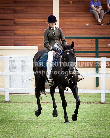 Stroud Show 180
