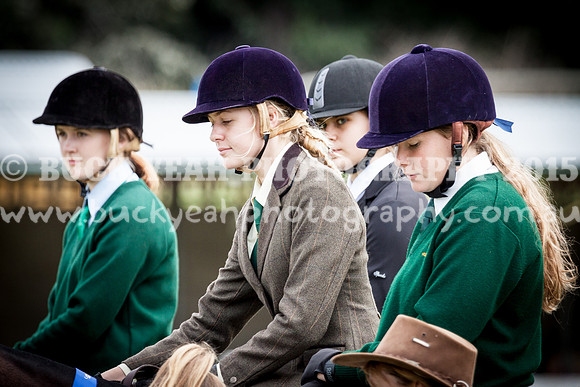Stroud Show 184