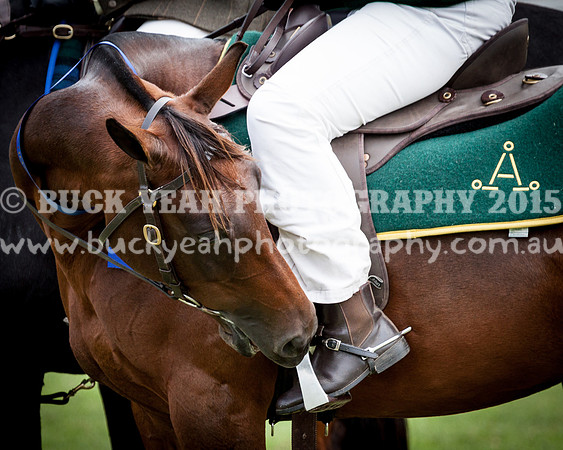 Stroud Show 187