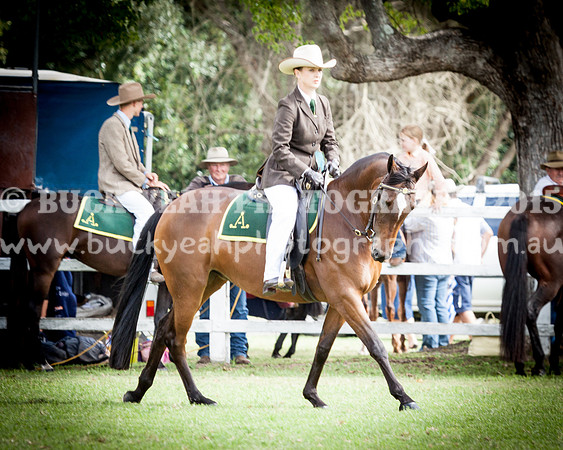 Stroud Show 192