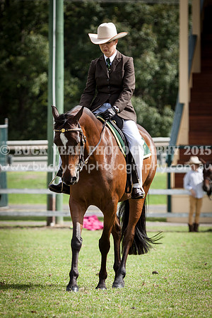 Stroud Show 193