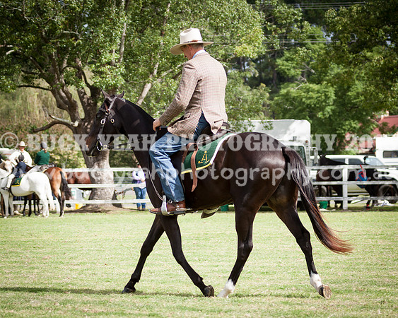 Stroud Show 195