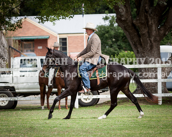 Stroud Show 196