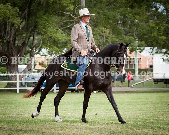 Stroud Show 198