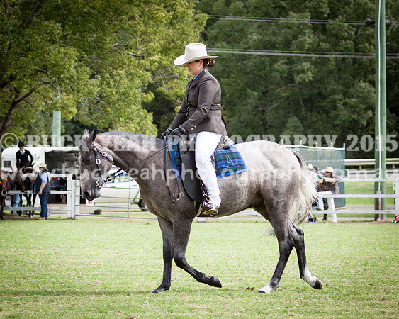 Stroud Show 201