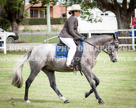 Stroud Show 202